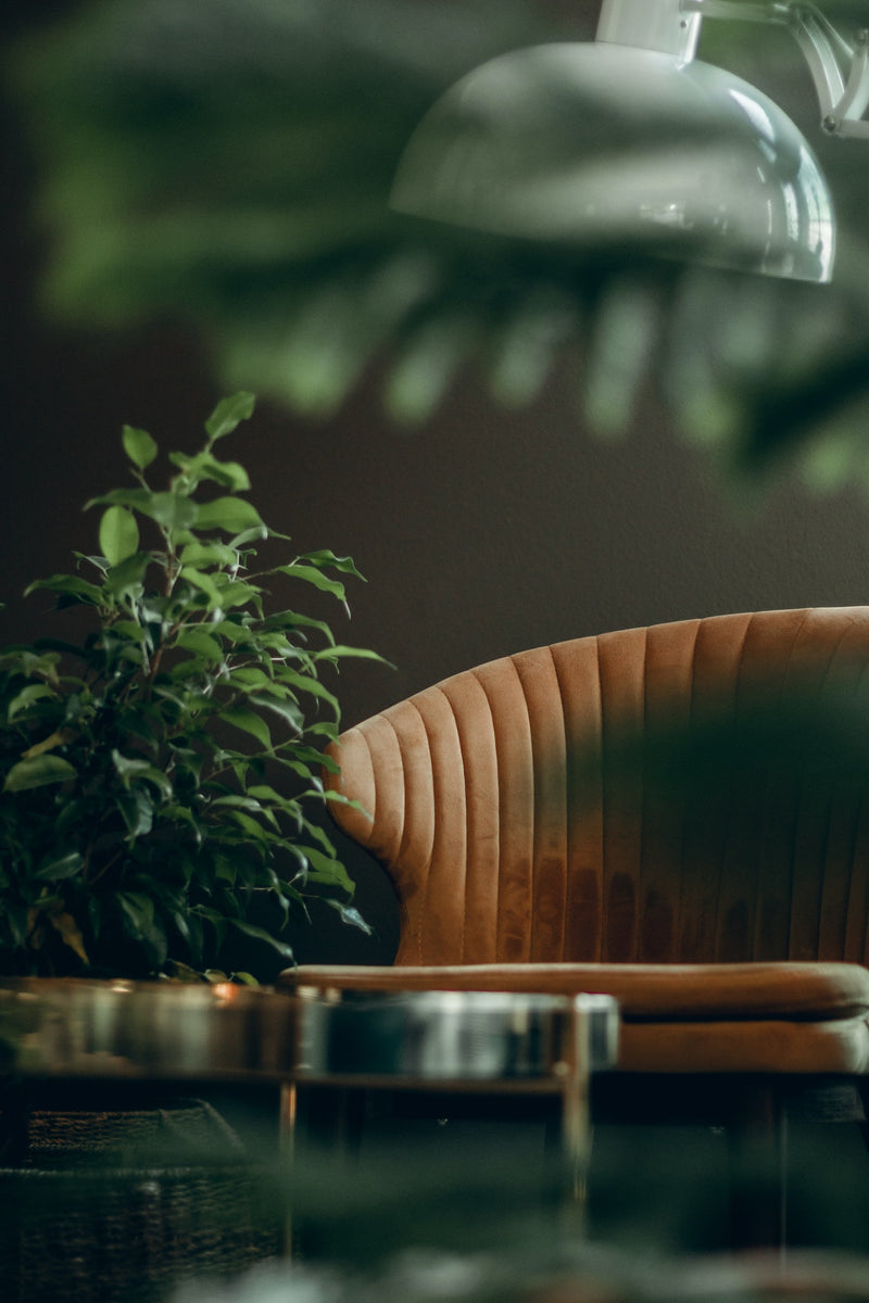 Groene esthetiek - interieur trends met planten