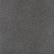 Tegel Fossil Line Rugosa 500x500x50 gestraald en gecoat
