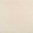 Tegel Fossil Line Ostrea 500x500x50 gestraald en gecoat