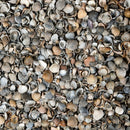 Schelpen bruin-grijs 8-16mm (zak 15 kg)