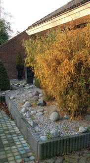 Mini Palissadeband  60x250x500 mm bruin