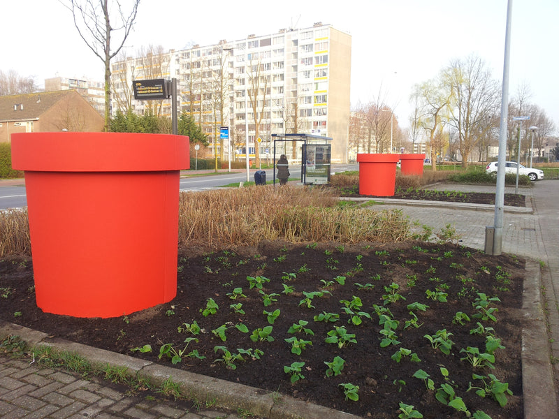 Boombak EPS op maat gemaakt